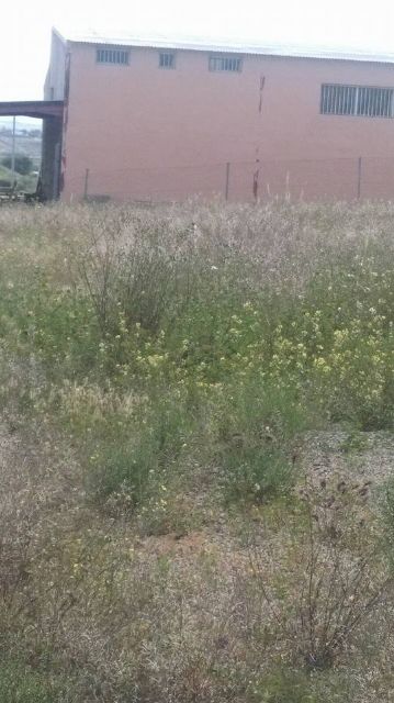 El Paretón también existe, Foto 6