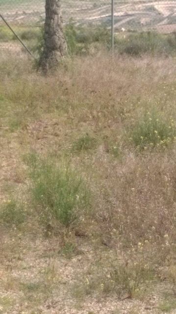 El Paretón también existe, Foto 7