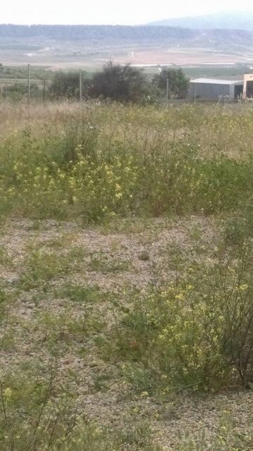 El Paretón también existe, Foto 8