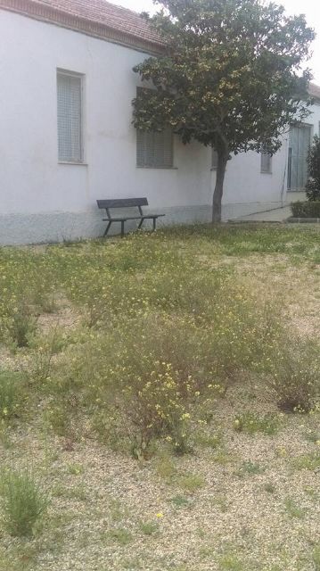 El Paretón también existe, Foto 9