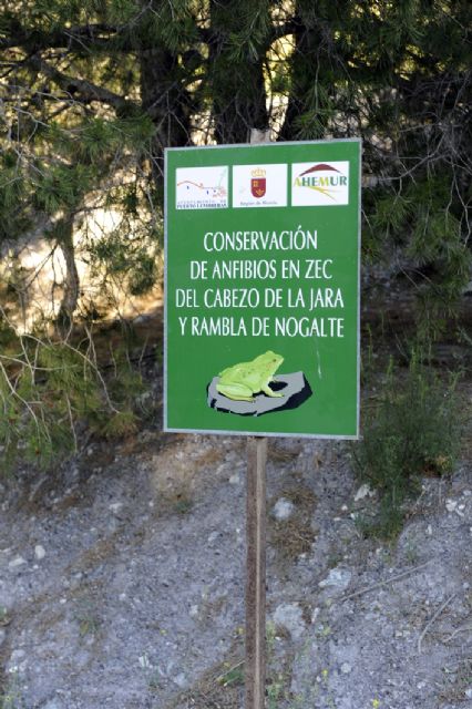 Construyen una charca para anfibios en el paraje natural Cabezo de la Jara - 1, Foto 1