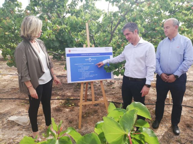 Agricultura desarrolla una aplicación web para simplificar la gestión de las explotaciones - 2, Foto 2