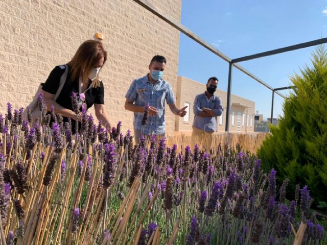 El colegio Nuestra Señora de Los Dolores de El Raal mejora la seguridad de sus instalaciones con la renovación del vallado exterior - 4, Foto 4