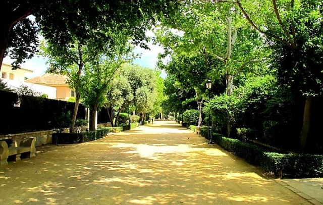 El Ayuntamiento de Lorca actúa en Las Alamedas para continuar trabajando en el embellecimiento de los parques y jardines del municipio - 1, Foto 1