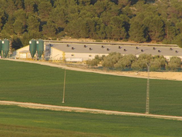 El Consejo para Defensa del Noroeste apoya y se suma a la “movilización nacional: stop ganadería industrial” del próximo domingo 23 - 1, Foto 1