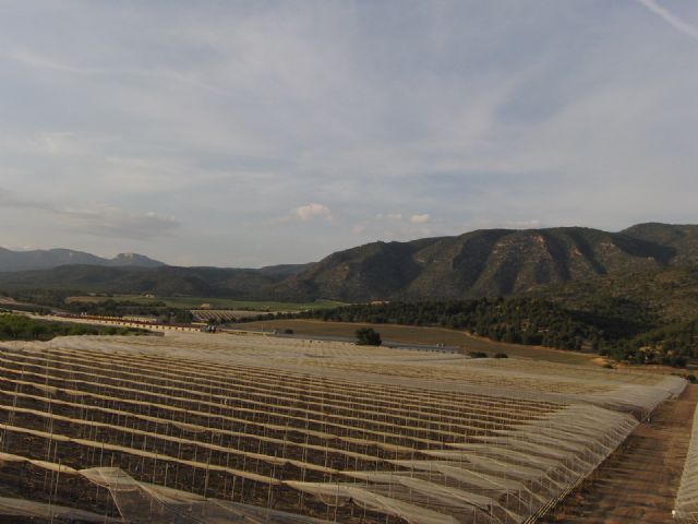 El Consejo para Defensa del Noroeste apoya y se suma a la “movilización nacional: stop ganadería industrial” del próximo domingo 23 - 3, Foto 3