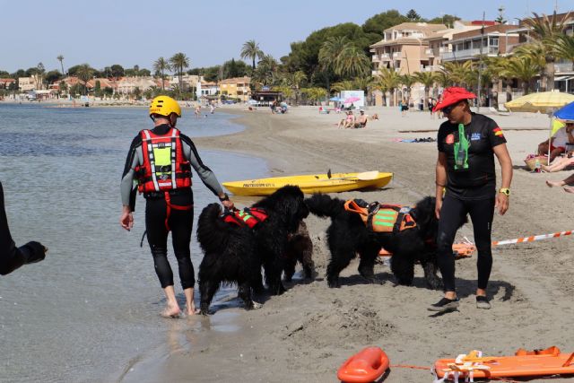 GRESCAN y la UCAM forman en salvamento acuático y rescate con perros a más de 30 médicos - 2, Foto 2