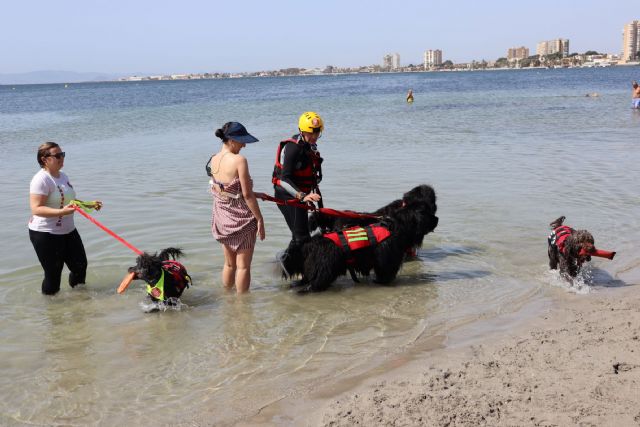 GRESCAN y la UCAM forman en salvamento acuático y rescate con perros a más de 30 médicos - 3, Foto 3