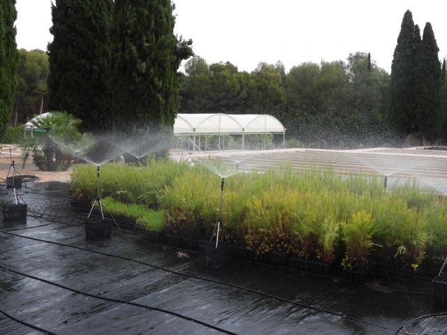 El Centro de Conservación de Flora Silvestre de la Región de Murcia incorporará un nuevo invernadero de 144 metros cuadrados - 1, Foto 1
