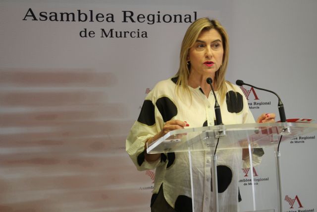 El PSOE pide la reprobación del consejero de Medio Ambiente por no repartir las ayudas para vehículos eléctricos y autoconsumo - 1, Foto 1