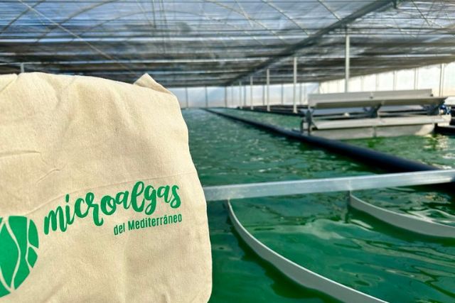 Esarrollan un innovador proyecto agrotech en el CIFEA de Torre Pacheco - 1, Foto 1