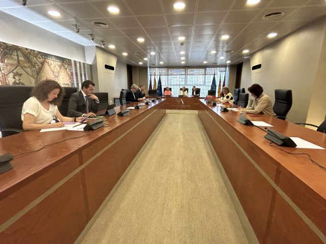 El vicepresidente y consejero de Interior y el consejero de Salud comparecerán la próxima semana en la Asamblea Regional - 1, Foto 1