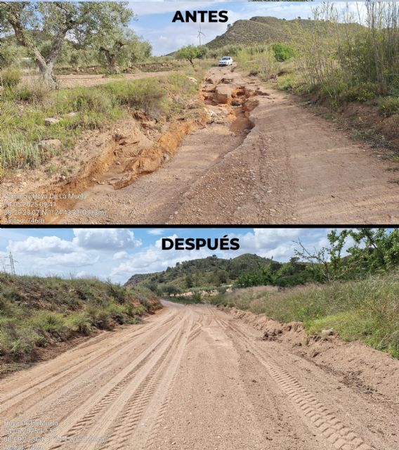 Agricultura recupera más de 30 caminos rurales tras las fuertes tormentas del pasado 10 de mayo - 1, Foto 1