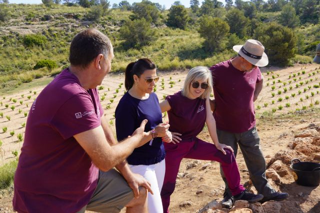 La excavación en el Cerro del Tío Pimenton deja un hallazgo único hasta el momento en la Península Ibérica - 4, Foto 4