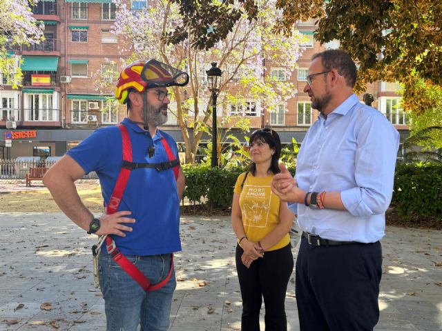 Los ficus del Jardín de Floridablanca y del resto del municipio reciben una revisión integral para verificar su salud y garantizar su seguridad - 1, Foto 1