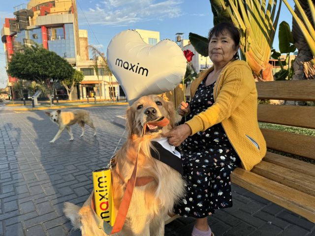 El traslado con mascotas, una necesidad cada vez más presente en la movilidad peruana - 2, Foto 2