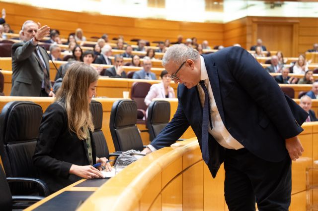 El senador Paco Bernabé denuncia el abandono institucional, deja un saco de estériles mineros el escaño del Senado de la Ministra - 1, Foto 1