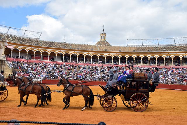 Sevilla .La Exhibición de Enganches entrega los ´collerones´ a instituciones que preservan el legado ecuestre - 1, Foto 1