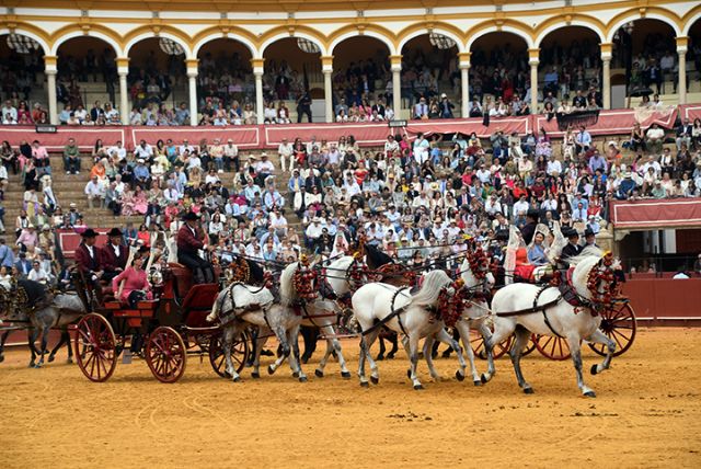 Sevilla .La Exhibición de Enganches entrega los ´collerones´ a instituciones que preservan el legado ecuestre - 4, Foto 4