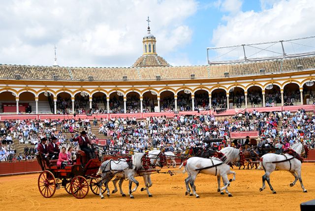 Sevilla .La Exhibición de Enganches entrega los ´collerones´ a instituciones que preservan el legado ecuestre - 5, Foto 5