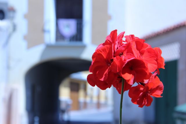 Este jueves se entregan los premios de la Gymkhana Fotográfica - 1, Foto 1
