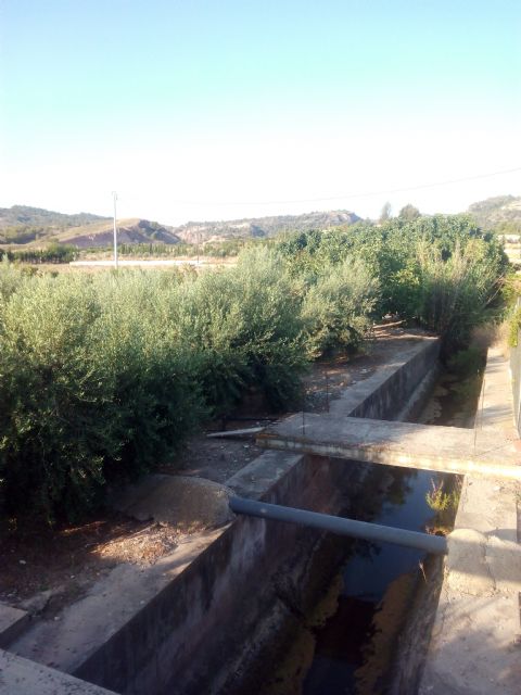 IU-Verdes pide al Ayuntamiento que inste a la Comunidad de Regantes de Lorca al cubrimiento de un canal que pone en peligro la vida de personas y animales - 1, Foto 1