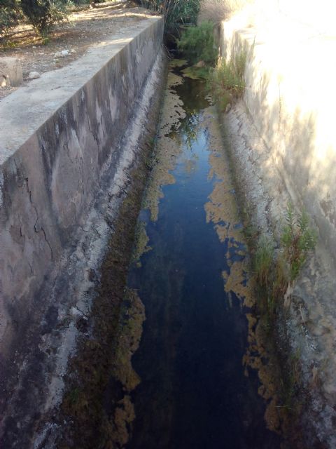 IU-Verdes pide al Ayuntamiento que inste a la Comunidad de Regantes de Lorca al cubrimiento de un canal que pone en peligro la vida de personas y animales - 2, Foto 2