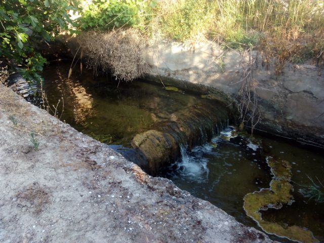 IU-Verdes pide al Ayuntamiento que inste a la Comunidad de Regantes de Lorca al cubrimiento de un canal que pone en peligro la vida de personas y animales - 3, Foto 3