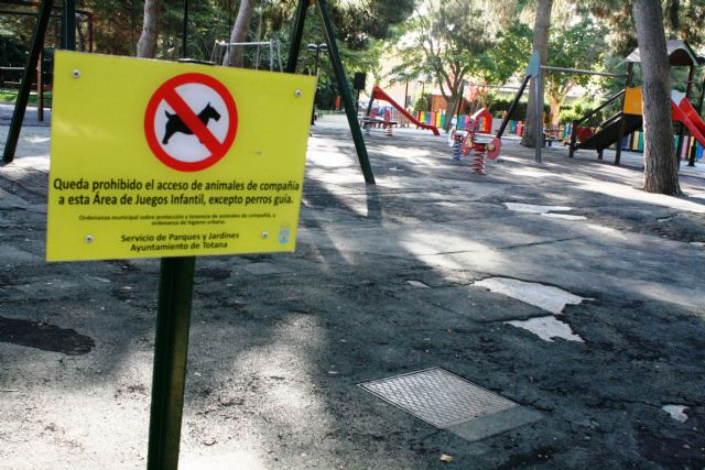 The contract for the rehabilitation of the playground of the municipal park "Marcos Ortiz" is awarded, Foto 1