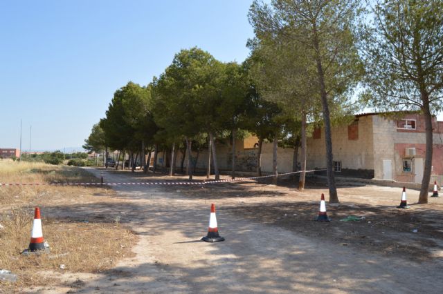 El Ayuntamiento mejora la seguridad de los pinos del Parque de la Emisora - 1, Foto 1