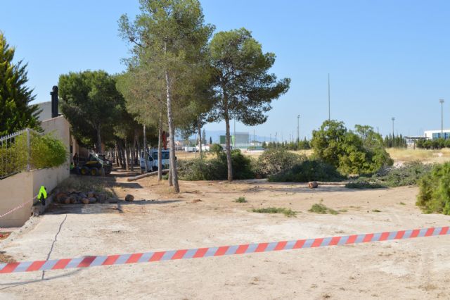 El Ayuntamiento mejora la seguridad de los pinos del Parque de la Emisora - 3, Foto 3