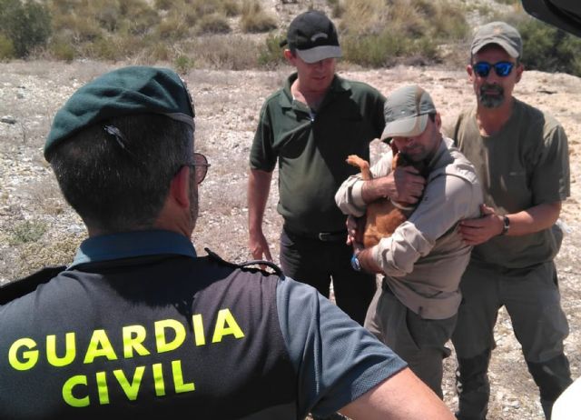 Rescatado de un perro que había caído en un pozo de 30 metros de profundidad - 5, Foto 5