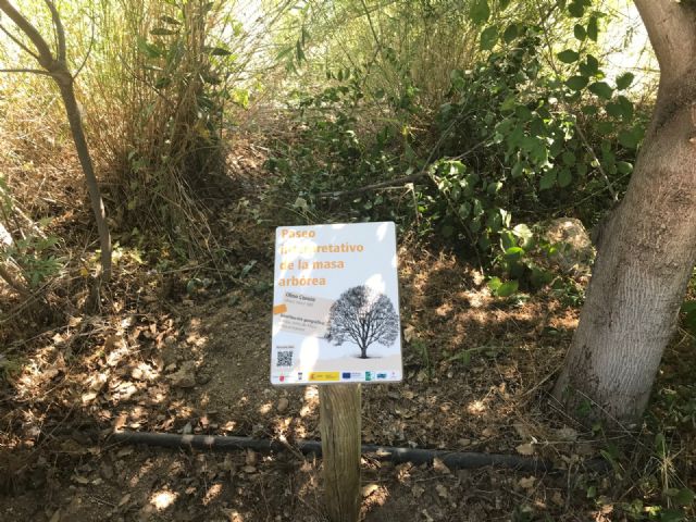 Se crea un itinerario interpretativo en el paraje de La Rafa - 2, Foto 2