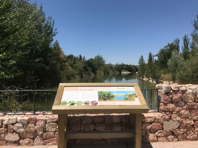 Se crea un itinerario interpretativo en el paraje de La Rafa - 3, Foto 3