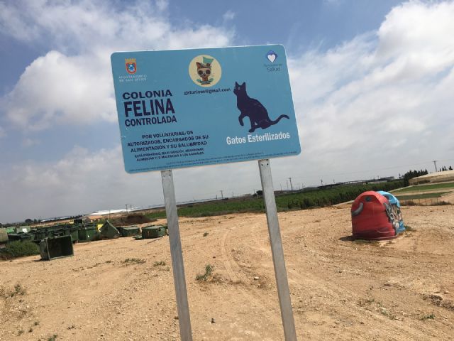 San Javier se convierte en uno de los primeros municipios de la Región en poner en marcha las colonias felinas - 3, Foto 3
