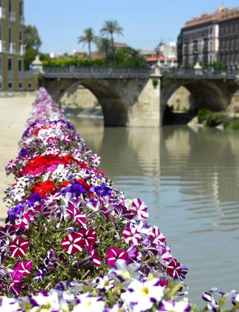 Los Molinos del Río se visten de colores con 200 balconeras y miles de flores - 2, Foto 2