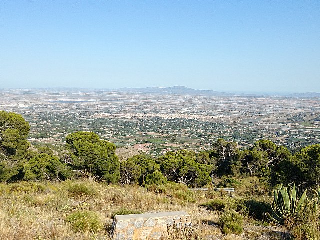 Hoy ha entrado en vigor el decreto autonómico que regula el paso a la nueva normalidad en la Región de Murcia tras 16 semanas del estado de alarma, Foto 1