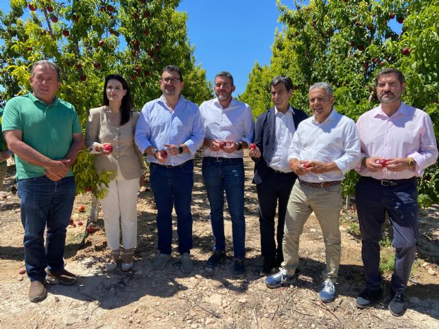 El PP insta al Gobierno de España a declarar como zona catastrófica los municipios afectados por las fuertes lluvias y el granizo y aprobar las ayudas necesarias - 1, Foto 1