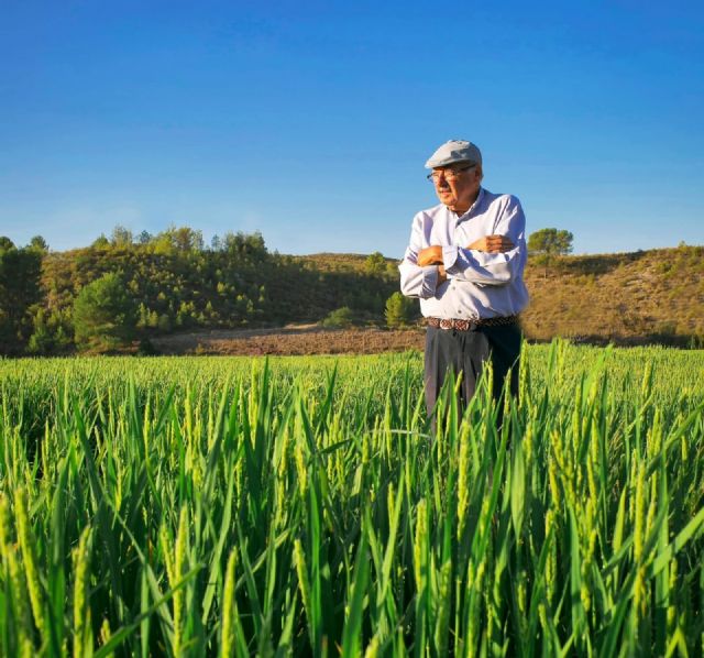 Calasparra rendirá homenaje a tres vecinos ilustres con el nombramiento de tres calles en su honor: Juan Haro, Rafael Navarro y José Antonio Moya El Abuelo - 3, Foto 3