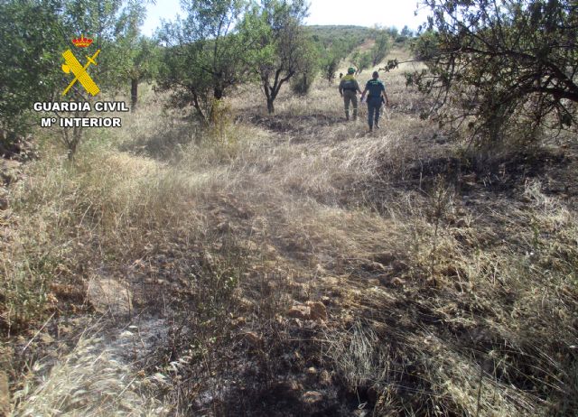 La Guardia Civil investiga al presunto autor de un incendio forestal, en Lorca - 3, Foto 3