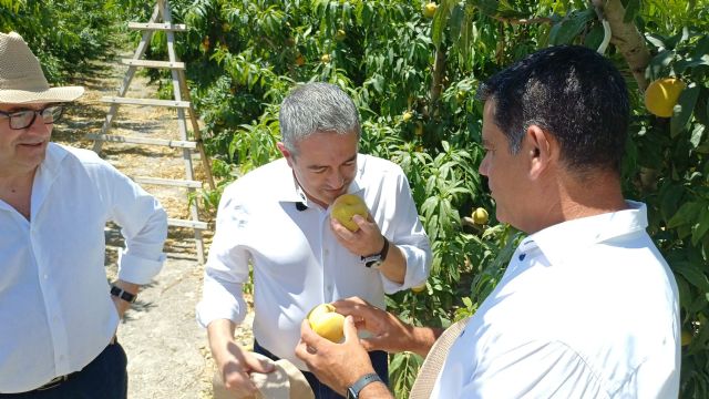 El Gobierno regional destaca el crecimiento de la IGP Melocotón de Cieza, que prevé superar los cuatro millones de kilos en 2026 El Gobierno regional destaca el crecimiento de la IGP Melocotón de Cieza, que prevé superar los cuatro millones de kilos en 2026