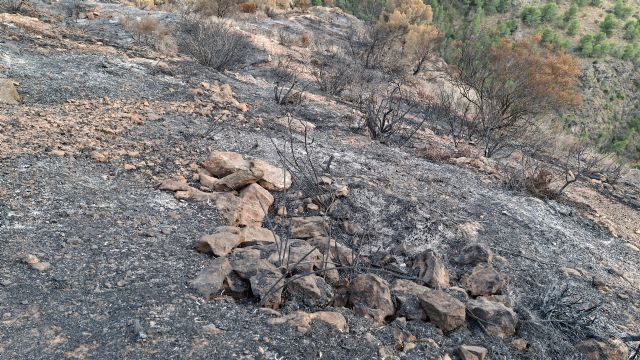 La Fiscalía abre diligencias de investigación tras la denuncia de Huermur por el incendio de Los Garres - 2, Foto 2