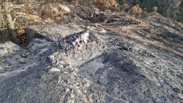 La Fiscalía abre diligencias de investigación tras la denuncia de Huermur por el incendio de Los Garres - 3, Foto 3