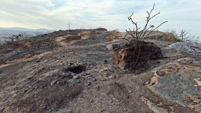 La Fiscalía abre diligencias de investigación tras la denuncia de Huermur por el incendio de Los Garres - 4, Foto 4