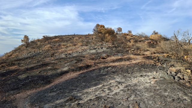 La Fiscalía abre diligencias de investigación tras la denuncia de Huermur por el incendio de Los Garres - 5, Foto 5