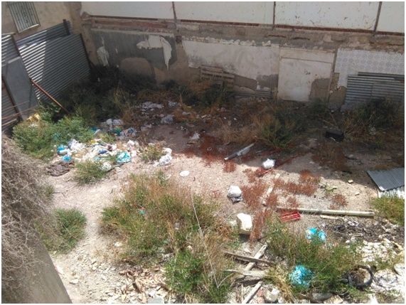 El PSOE reclama la limpieza de los solares y laderas del Cabezo Piñero del Barrio de San Cristóbal - 1, Foto 1