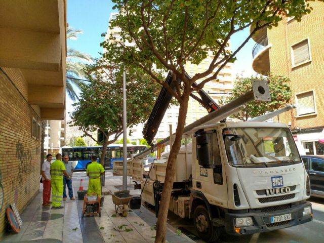 Desarrollo Sostenible sustituye cerca de doscientos soportes de alumbrado publico en el Ensanche - 1, Foto 1