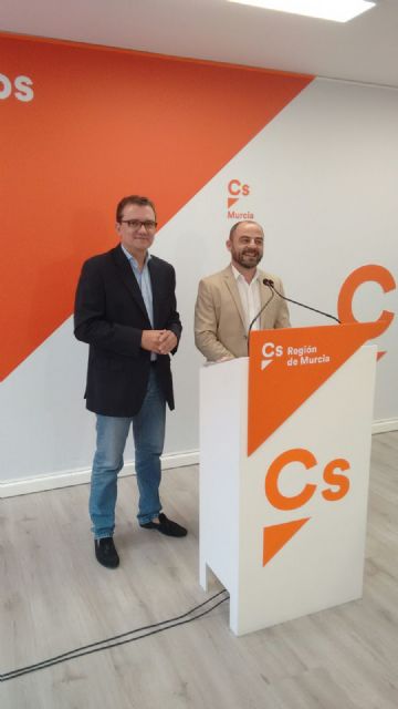 Los diputados de Ciudadanos apostarán la próxima legislatura por los grandes pactos en agua, violencia de género, infraestructuras y turismo - 2, Foto 2