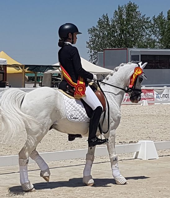 La torreña Patricia Rodríguez revalida su título de campeona de España de doma clásica de ponis - 5, Foto 5