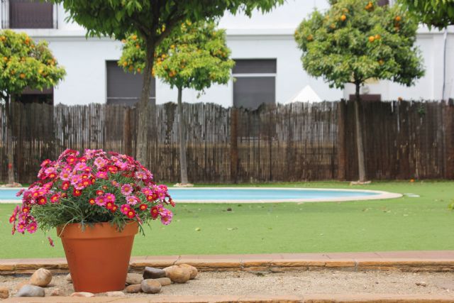 El verano, una época de detección y aumento de los Trastornos de Conducta Alimentaria - 1, Foto 1